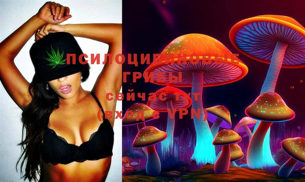 стафф Белокуриха